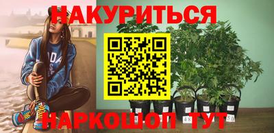 крисы Тверь