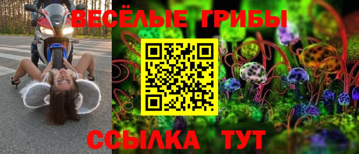 Лесозаводск  Псилоцибиновые грибы GOLDEN TEACHER  Вход с VPN  Галлюциногенные грибы Cubensis 
