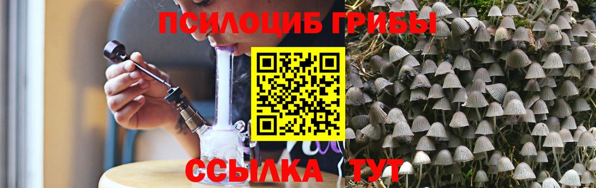 Псилоцибиновые грибы мухоморы Лесозаводск